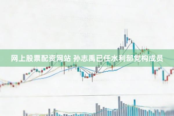 网上股票配资网站 孙志禹已任水利部党构成员