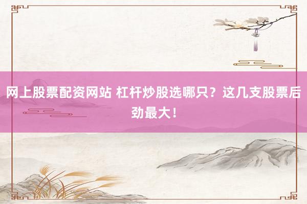网上股票配资网站 杠杆炒股选哪只？这几支股票后劲最大！